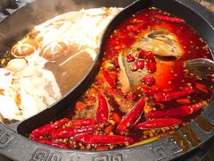 -销魂美蛙鱼头火锅(上海首店)