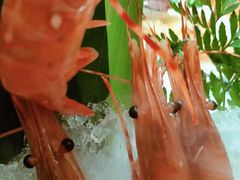 牡丹虾-鲁山人日本料理·放题·套餐(松卫北路店)