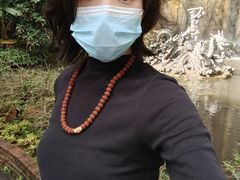 -西双版纳原始森林公园