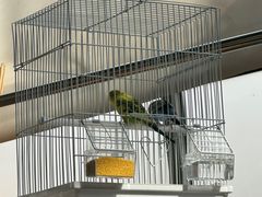 -梅陇花鸟市场-停车场