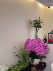 -海涛医疗美容·面部抗衰·注射美鼻