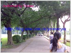 -中山大学学者灵芝(园南路店)