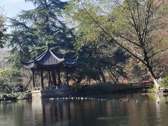 -西湖游船