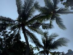 -新加坡水上探险乐园