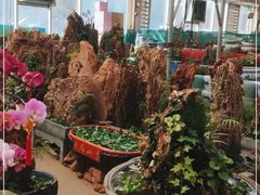 -李村大集