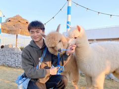 -Blue Concept Cafe&Farm·關於藍