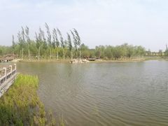 -张家湾公园
