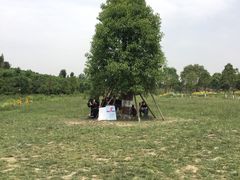 -白鹭湾湿地公园