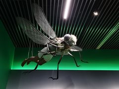 -杭州工艺美术博物馆