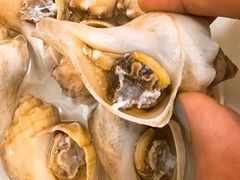 -北塘海鲜·天津菜·鲅鱼水饺是一绝(大光明桥旗舰店)
