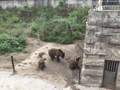 -哈尔滨北方森林动物园