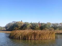 -溱湖国家湿地公园