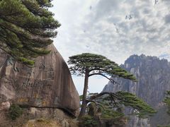 -黄山风景区