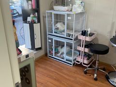 -中农大我爱我爱24h动物医院·中医针灸·猫专科·骨科医疗中心(双井店)