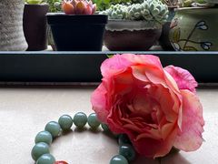 -龙大花卉苗木市场