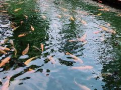 -宝墨园景区