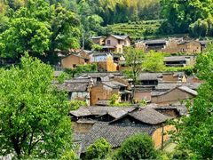 -杨家堂村