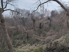 -南京市江宁方山