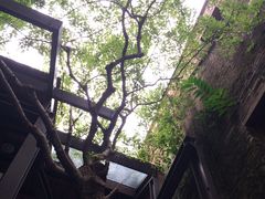 -剥皮寮历史街区