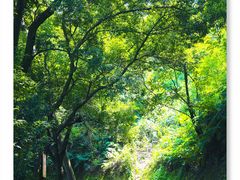 -白云山风景名胜区