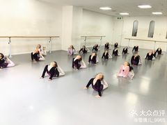 -西安小天鹅艺术团(金花路校区)