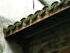 -乌镇景区