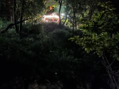 -黄村公园