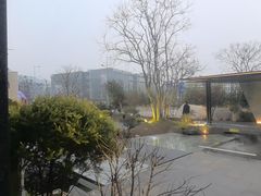 -雅苑中餐厅