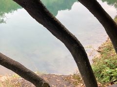 -楠溪江石桅岩