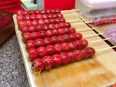 -和禄德冰糖葫芦