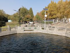 -百脉泉景区