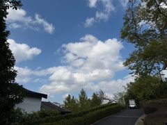 -千岛湖安岚·湖景全日餐厅