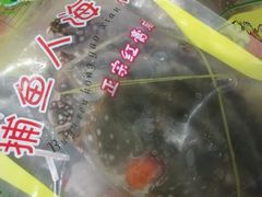 -东河市场