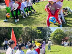 -成都西镇龙翔度假庄园·企业团建·丛林穿越