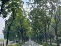 -后襄河公园