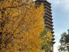 -玲珑塔公园