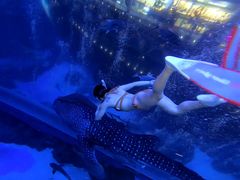 -成都浩海立方海洋公园