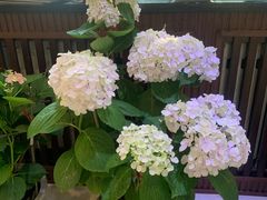 -钰田大院·碳烤虹鳟鱼·怀柔地道农家菜(雁栖湖店)