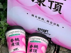 -莓超疯(百源店)