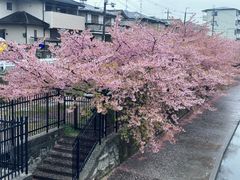 -京都御所