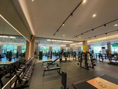 -章鱼健身 Octopus