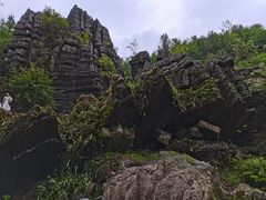 -梭布垭石林景区