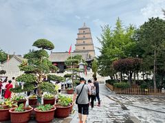 -大慈恩寺(大雁塔)