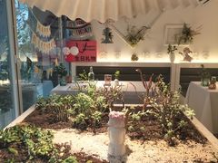 -春树下·树屋花房西餐厅(罍街AS1980店)