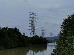-崖口红树林海鲜餐厅