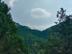 -佛慧山