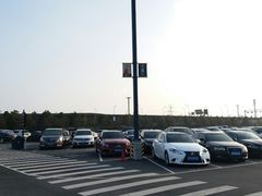 -迪士尼乐园停车场