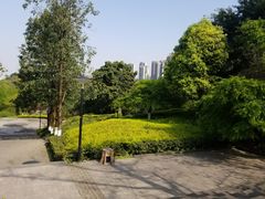 -重庆彩云湖湿地公园