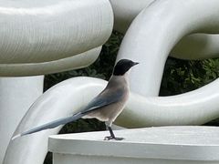 -苏州河梦清园环保主题公园