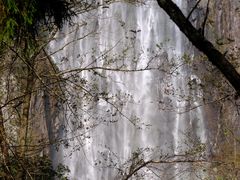 -刘伯温故里景区百丈漈